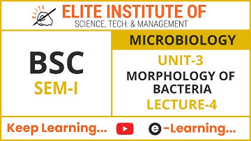 BSC SEM 1 ll MICROBIOLOGY ll UNIT 3 ll LECTURE 4