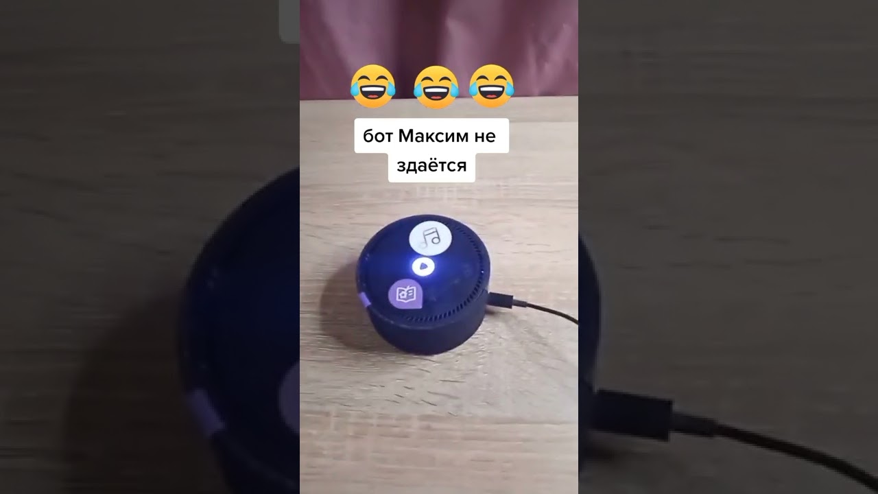 Бот Максим не сдаётся 😱  лучшие приколы 2021   [яндекс Алиса жгёт]