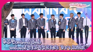 [4K] Wanna One、7年ぶりにファンのもとへ戻ってきたメンバーたちの再結成…「昔の思い出がよみがえる〜」