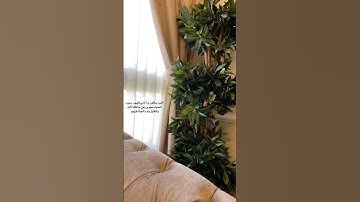 تغذية بصرية | 📽 | #تلاوة_قرآن #القرآن_الكريم #qurankareem #خشوع #تلاوة_مؤثرة #تلاوة_خاشعة #quran