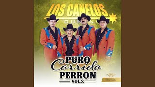 Video thumbnail of "Los Canelos de Durango - Corrido de Melenas"