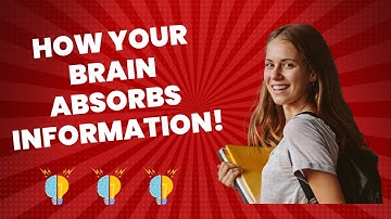 The Science of Learning: How Your Brain Absorbs Information