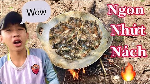 Chàng Trai Lên Ruộng Câu Cá Rô Đồng Chiên Giòn | Sang Ken TV