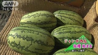 重さ20キロ！