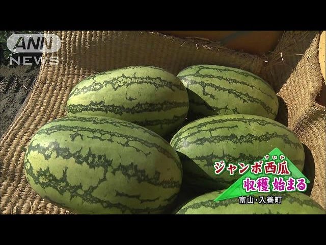 重さ20キロ！