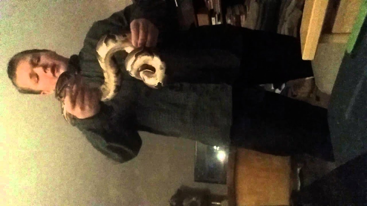 shooting in dc Snakes and knives with a shout