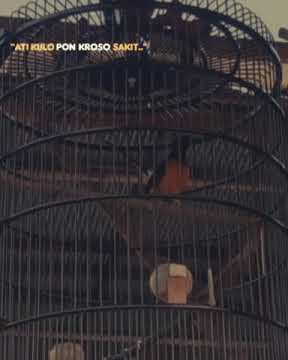 story' wa murai batu