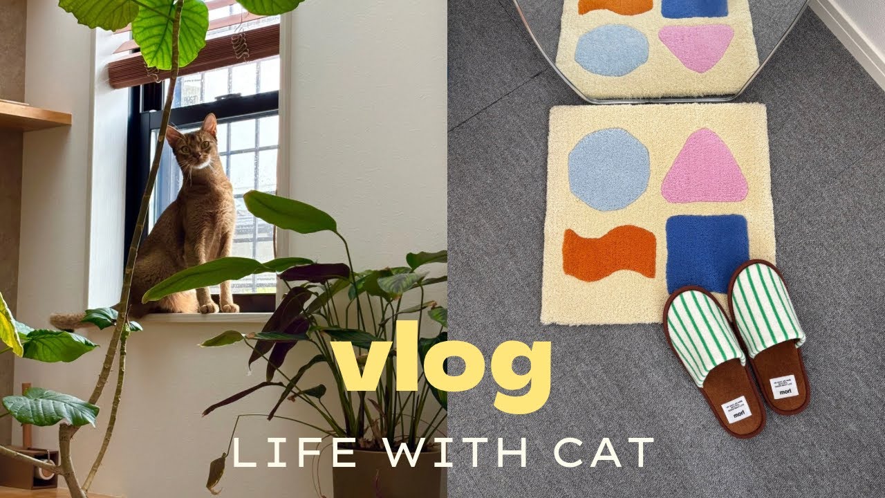 vlog |忍たまゆかりの地を散歩し猫と戯れる｜タフティング体験🧶｜よく食べよく歩く30代オタクの日常