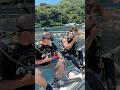 巨大クロマグロと泳いでみた！#shorts #ダイビング #養殖場 #マグロ #カワハギ