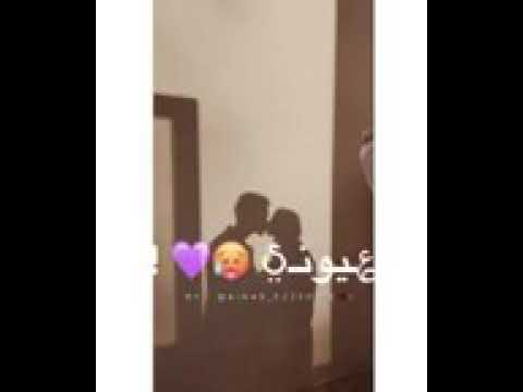    قمر مشفتش زيو مقاطع واتساب قصيرة