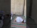 Namaz ki Practice | نماز کی تربیت | Beautiful work #islamicvideo #short #shorts