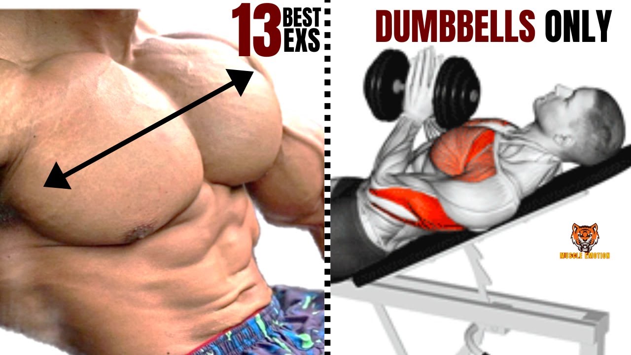 best chest workout at home without equipment
