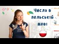 Польські числівники: просто про складне