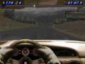 [Network Q RAC Rally Championship - Игровой процесс]