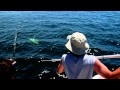 Giant Bluefin Tuna - July 2, 2011