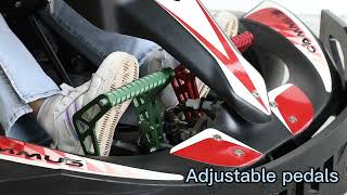 CAMMUS OEM ODM Adjustable Four Wheel Sport Go Kart 2850RPM ISO9001