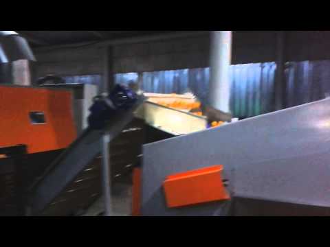 ნატანები. მანდარინის რეცხვა-პარაფინირება