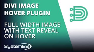 Divi Theme Image Hover Plugin Full Width Image With Text Reveal On Hover 👈