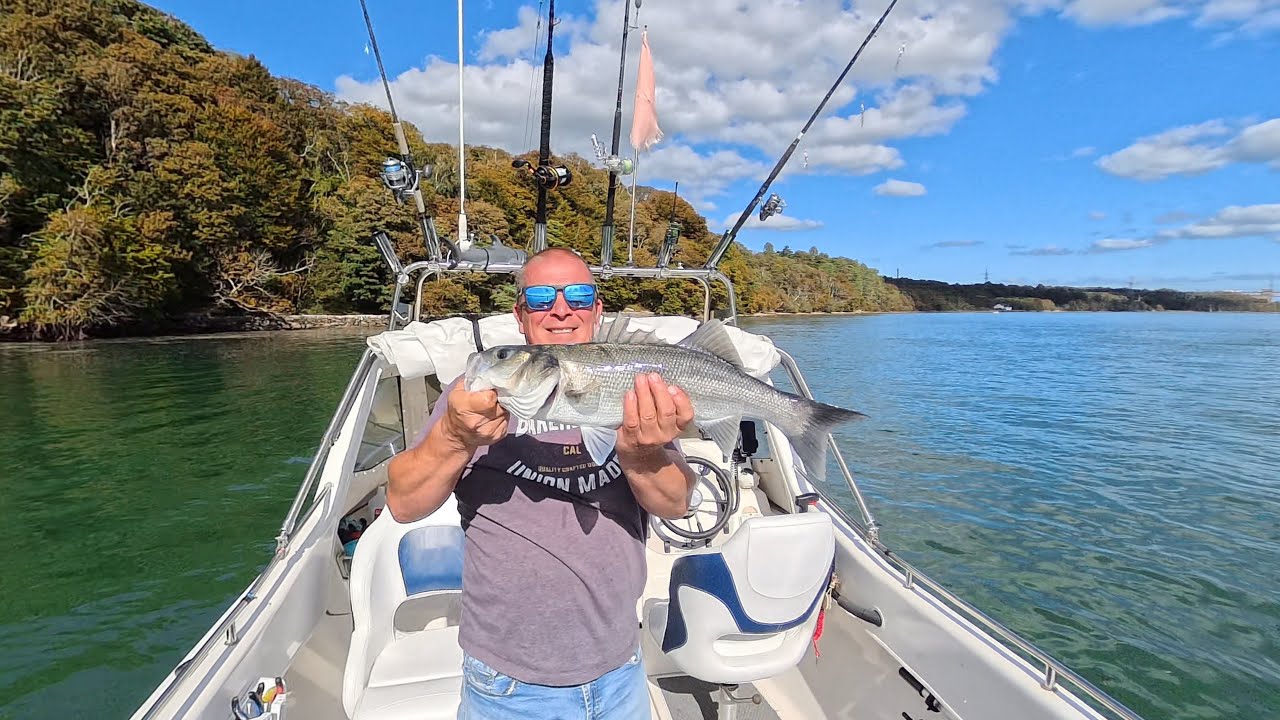 Live baiting for bass - sea angling uk small boats