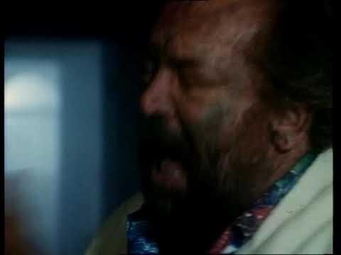 Zwei Supertypen in Miami - Der Kleine mit der großen Klappe ...