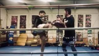 2019121601 toellgym.com
