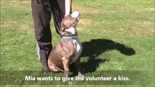 Sept 26, 2014 Mia Needs A Home At Rescue Ridge