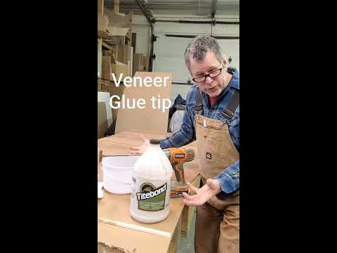 Veneer Glue Tip #Shorts