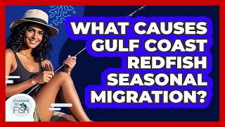 What Causes Gulf Coast Redfish Seasonal Migration? - Chasing Big Fish