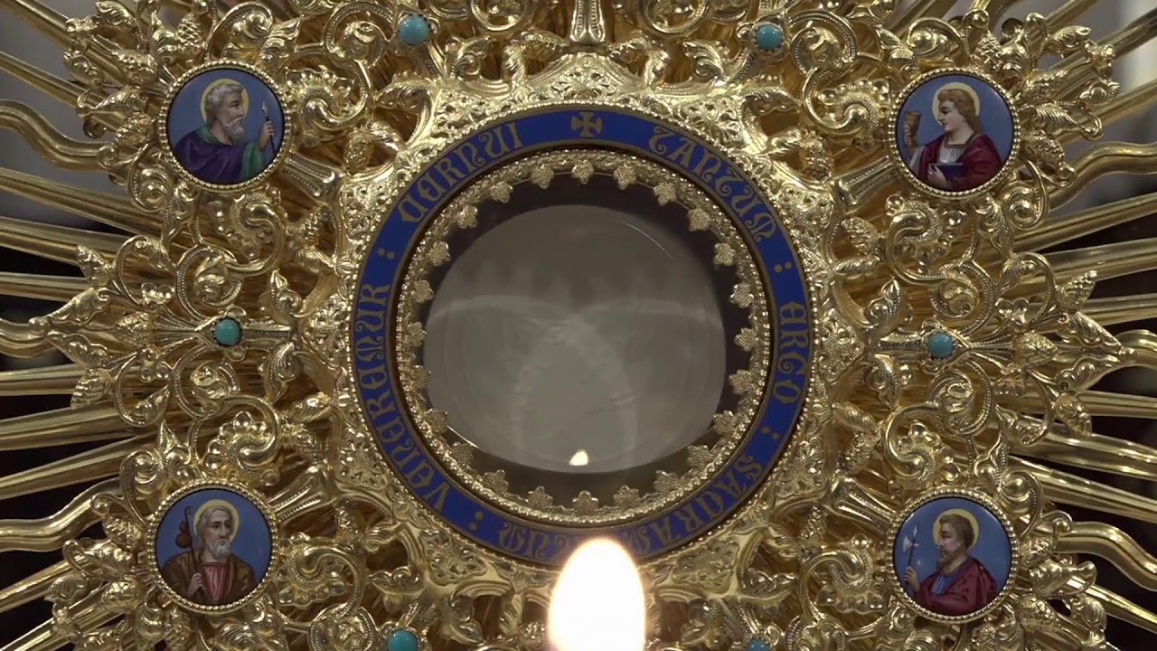 EN VIVO. Soplo de Vida!