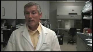 K-State's updated Veterinary Diagnostics Lab