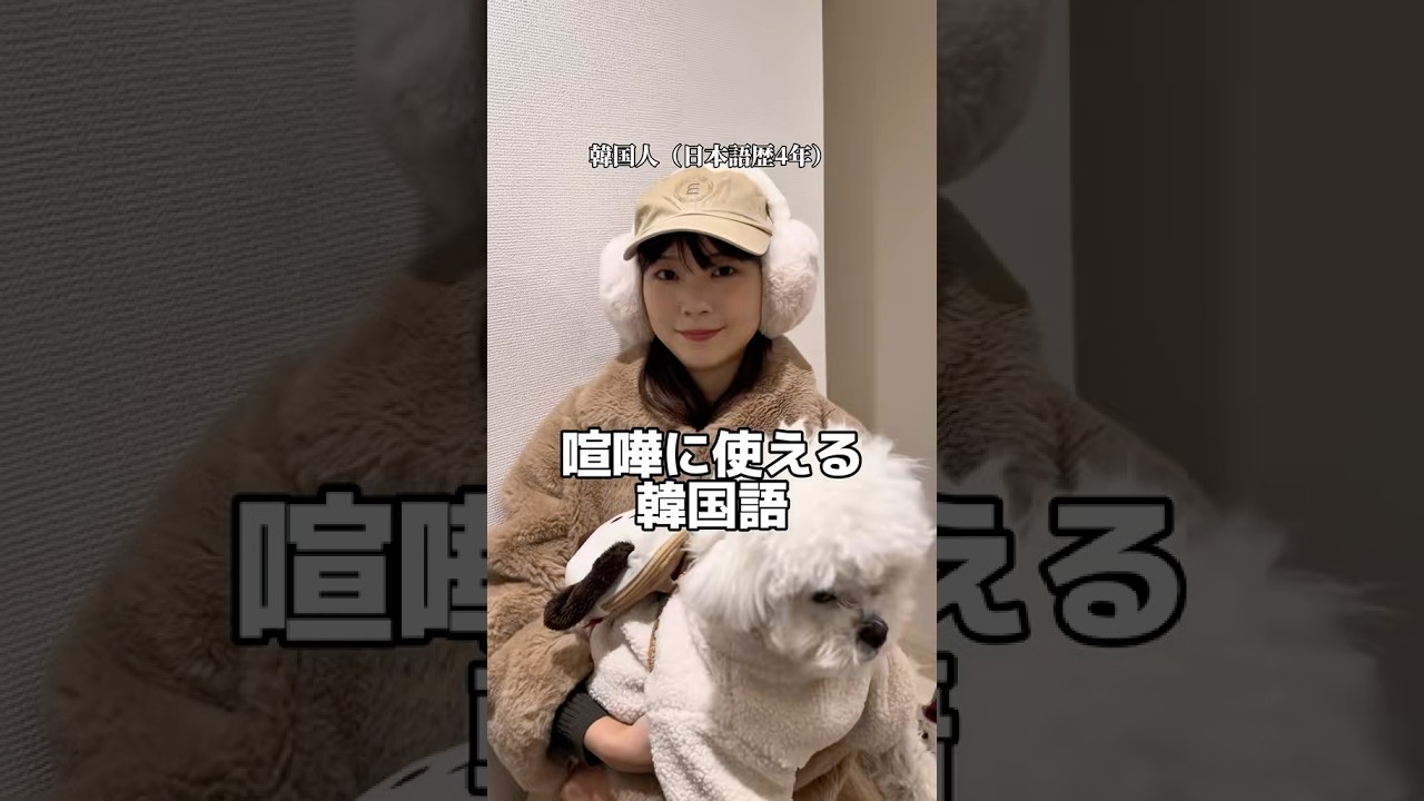 喧嘩に使える韓国語 #日韓カップル #日韓夫婦 #韓国語