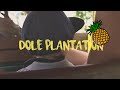 Oahu Pineapple Plantation (Dole) Sony A6300