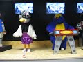 End of video