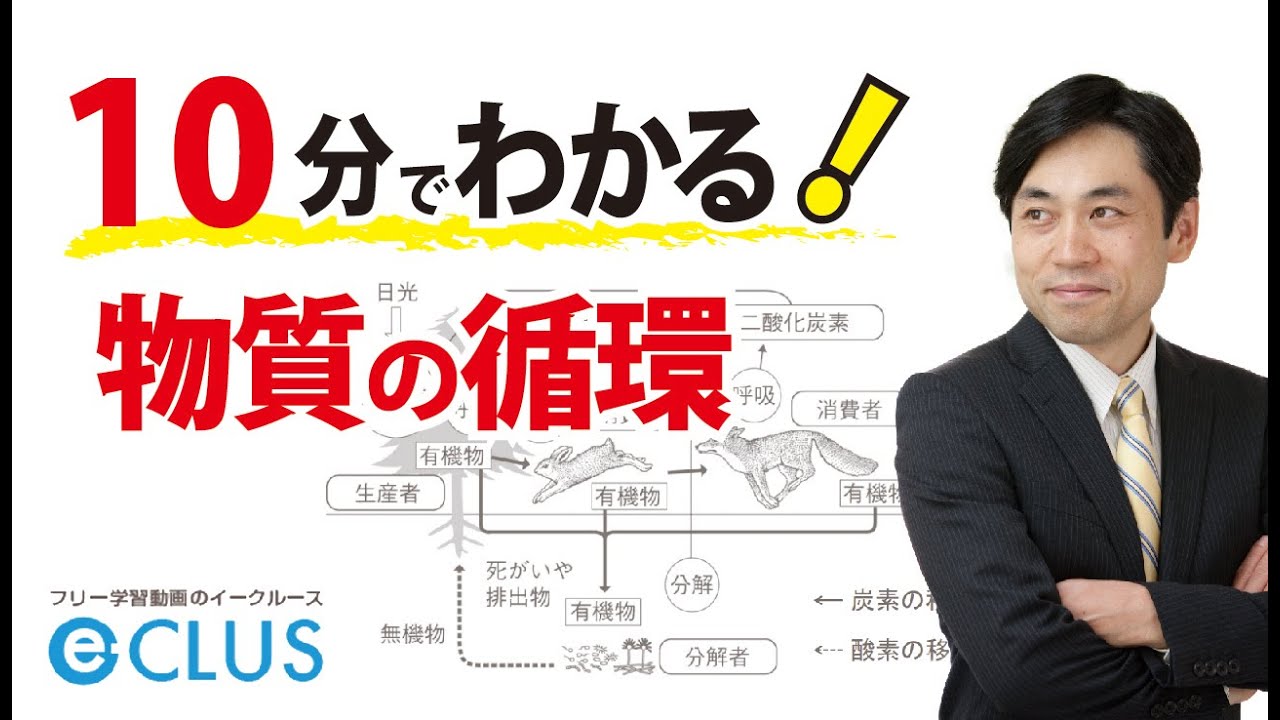 物質の循環中学理科3年2分野自然と人間3 Youtube