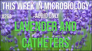 TWiM 263: Lavender and catheters