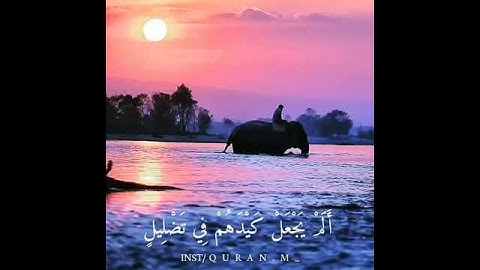 سورة الفيل ❤️ راحة نفسية ❤️