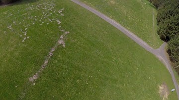 Wizard x220s fpv acro