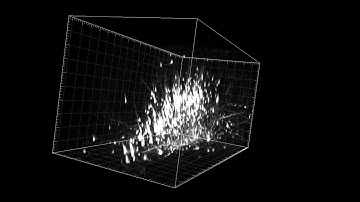 Visikol HISTO  Owl Brain