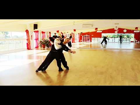 VIENNESE WALTZ studying section with Mirko Gozzoli