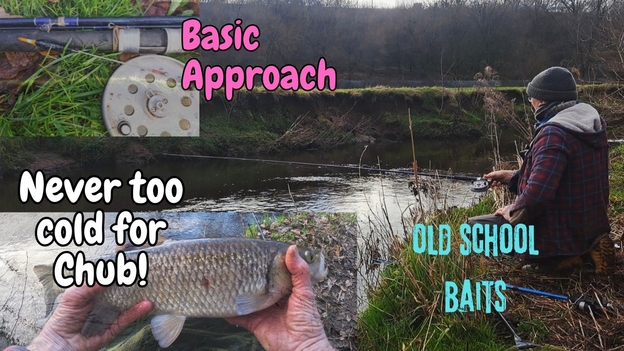 Зимняя ловля голавля стала проще! Путешествия по небольшим ручьям для удовольствия! 