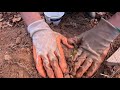 Let's plant some strawberries!#plantstrawberries #organic #diyfarm #localfarm #hiawasseega #lodging