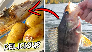 Vad finns det för fisk i Östersjön?