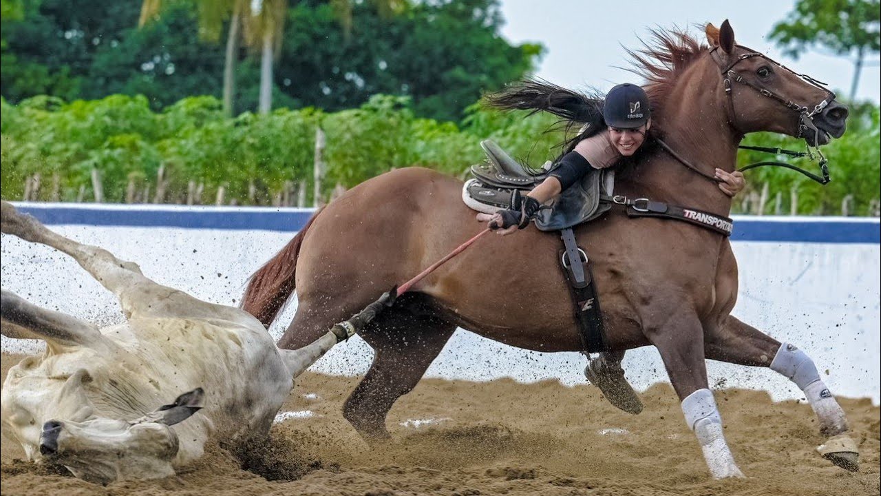 Vaquejada parque Carolina 2 parte circuito estrelas equivita 