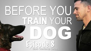 Before you train your dog. Episode 8