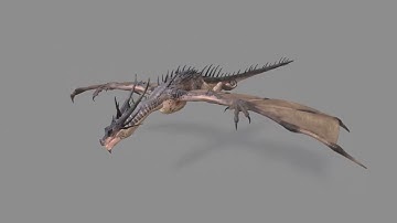 Dragon Animation Reel