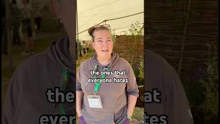 Erica McAlister talking sense about insects for 3 minutes straight 🪰