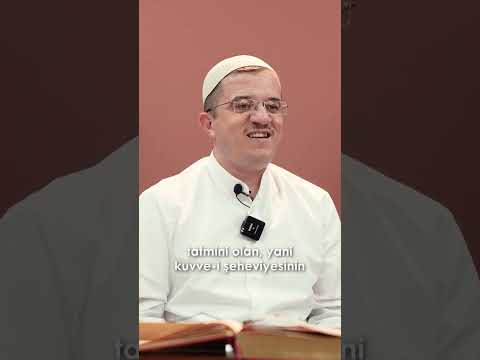 Efendimiz'e sav Kadın Neden Sevdirildi  #hadis