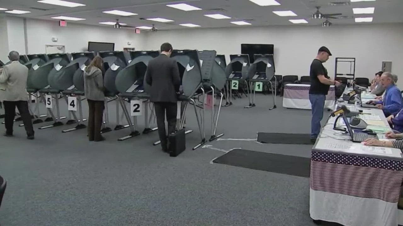 Early voting for the Texas Primary starts on Feb. 14; election ...