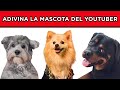 ADIVINA LA MASCOTA DEL YOUTUBER | COMO SON LOS MASCOTAS DE LOS YOUTUBERS | YOU OCIO