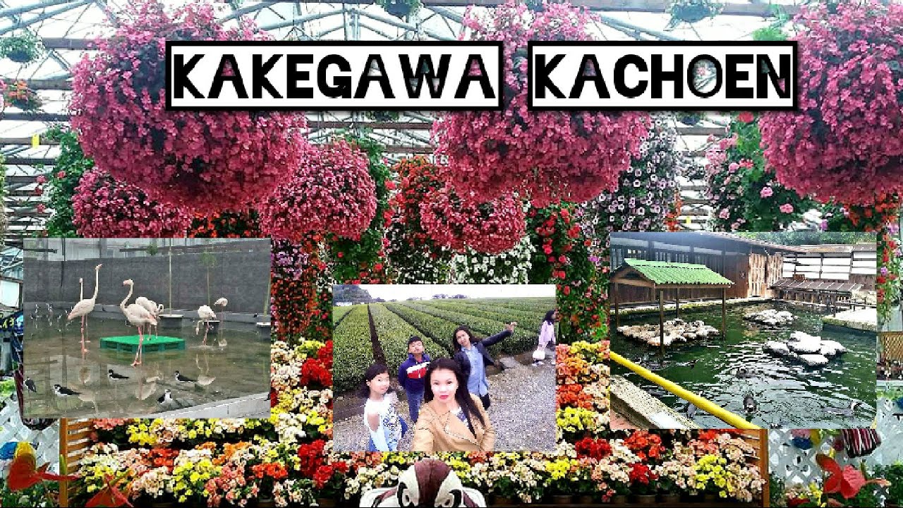 Kakegawa Kachoen #Nagoya #japan #tourist